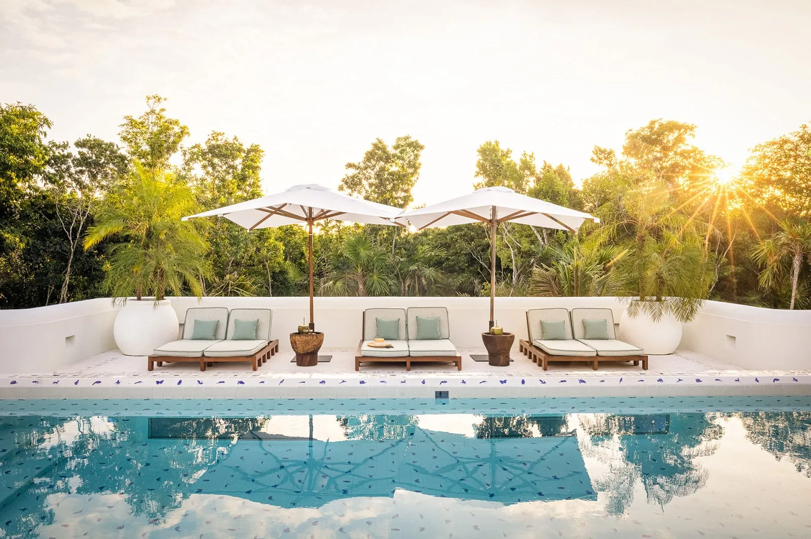 Rooftop pool with paired loungers under white umbrellas against dense jungle, sun flaring through the trees.