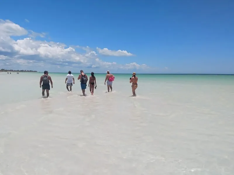 A group walking through knee-deep, pale turquoise water on a sandbar off Holbox
