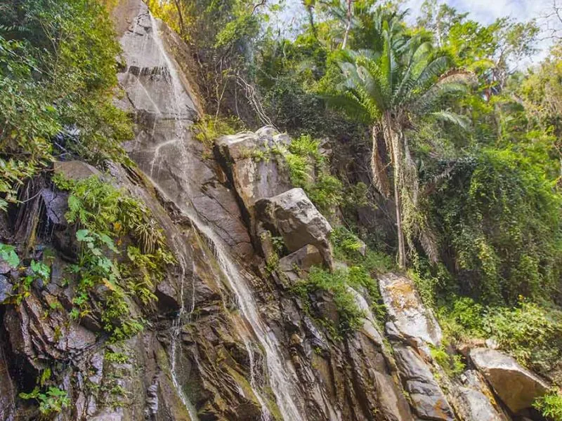 Thin waterfall dropping down a rock face among palms and jungle near Yelapa