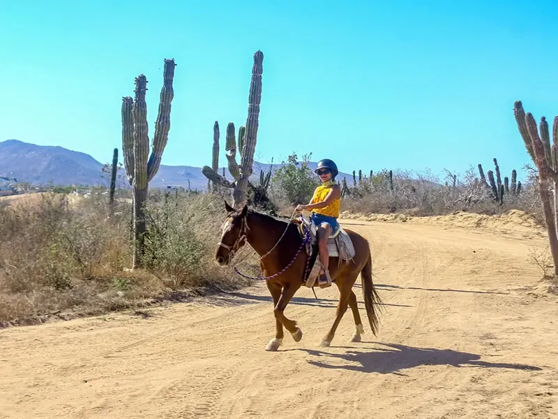 Child in a helmet riding a horse on a desert trail lined with cactus